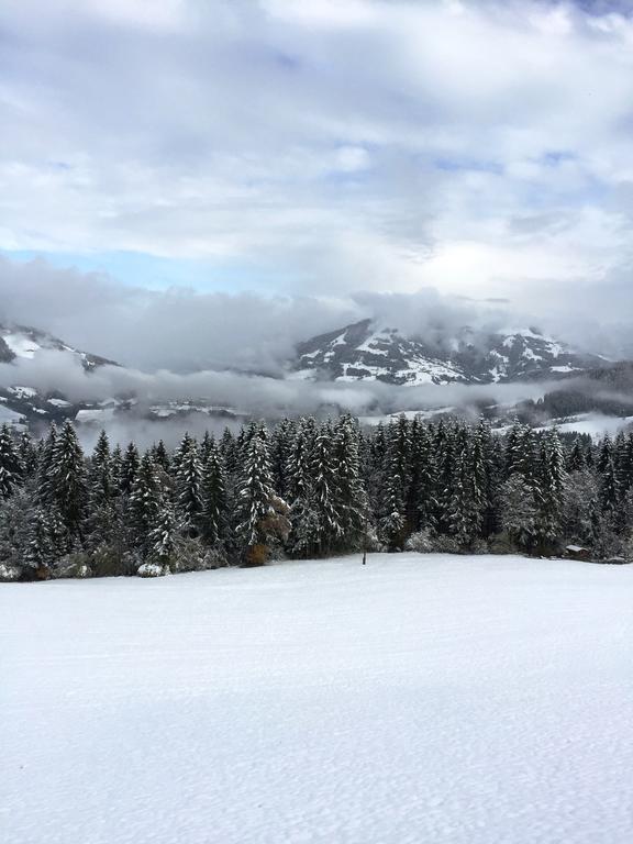 Panorama Villa Victoria Hopfgarten im Brixental Bagian luar foto